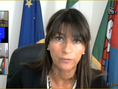 Audizione sul rafforzamento capacità amministrativa pubbliche amministrazioni PNRR e efficienza della giustizia - 01.07.2021